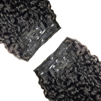 Raw Vietnamese Curly Clip-Ins