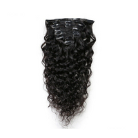 Raw Vietnamese Burmese Curly Clip-Ins