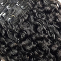 Raw Vietnamese Burmese Curly Clip-Ins